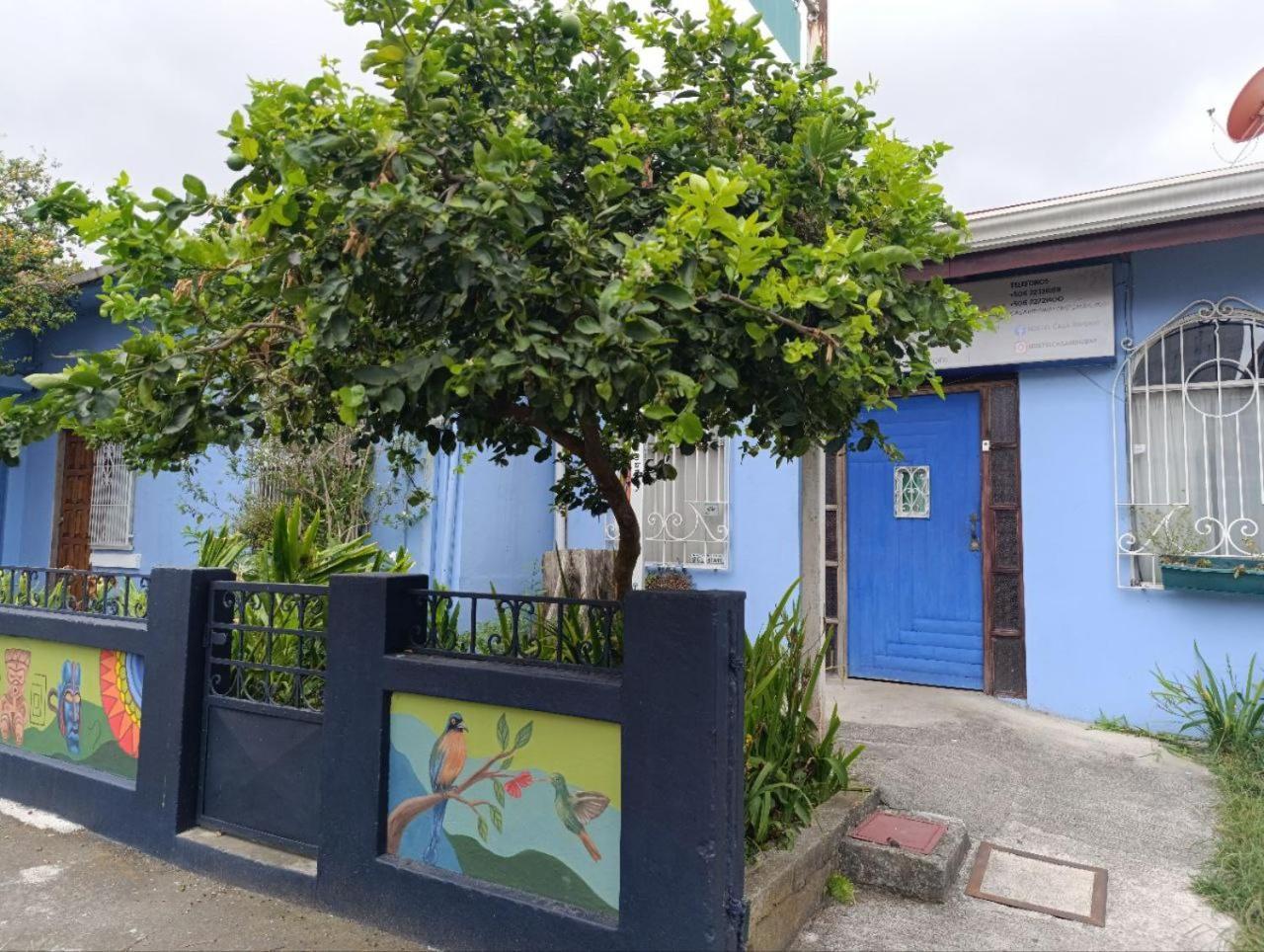Hostel Casa Ridgway San Jose  Exterior photo